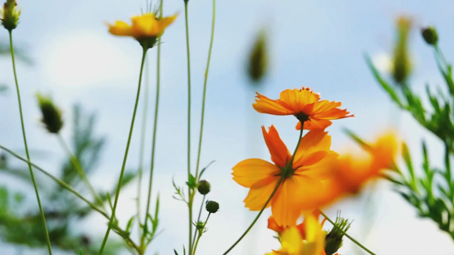 Welcome to Our Store